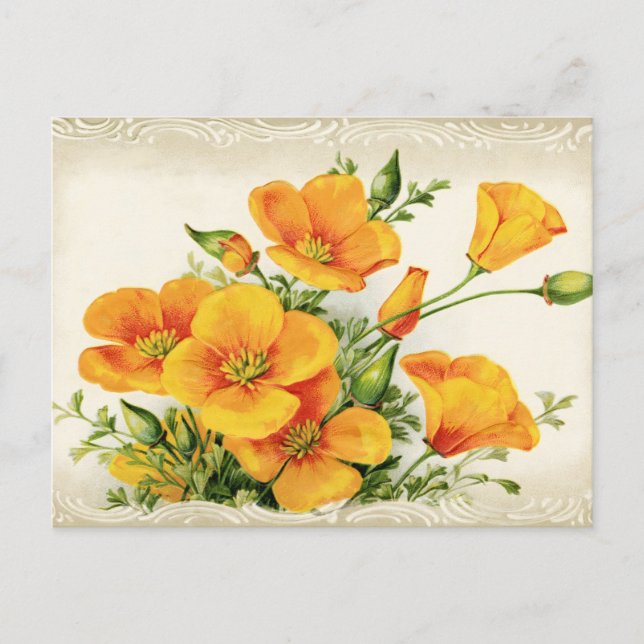Pretty Vintage Yellow Flowers  Postcard (Front)