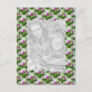 Pretty Violets Floral Photo Postcard