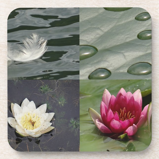 Pretty Water Lilies Coaster (Front)