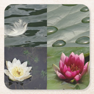 Pretty Water Lilies Square Paper Coaster