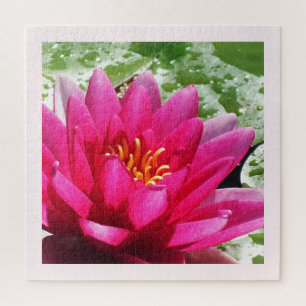 Pretty water lily jigsaw puzzle