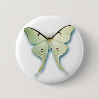 Pretty White Butterfly Design 6 Cm Round Badge