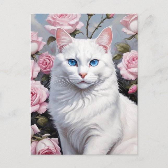 Pretty white cat and pink roses postcard (Front)