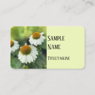 pretty white cone flowers  nature photography business card
