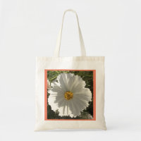 Pretty White Cosmos Flower Photo