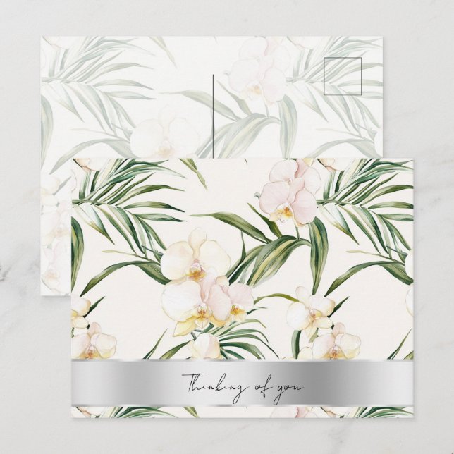 Pretty White Cream Orchids Thinking of you Postcard (Front/Back)