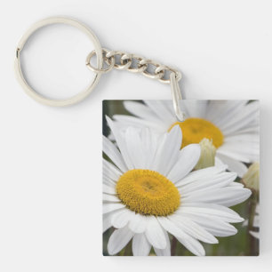Pretty White Daisies Key Ring