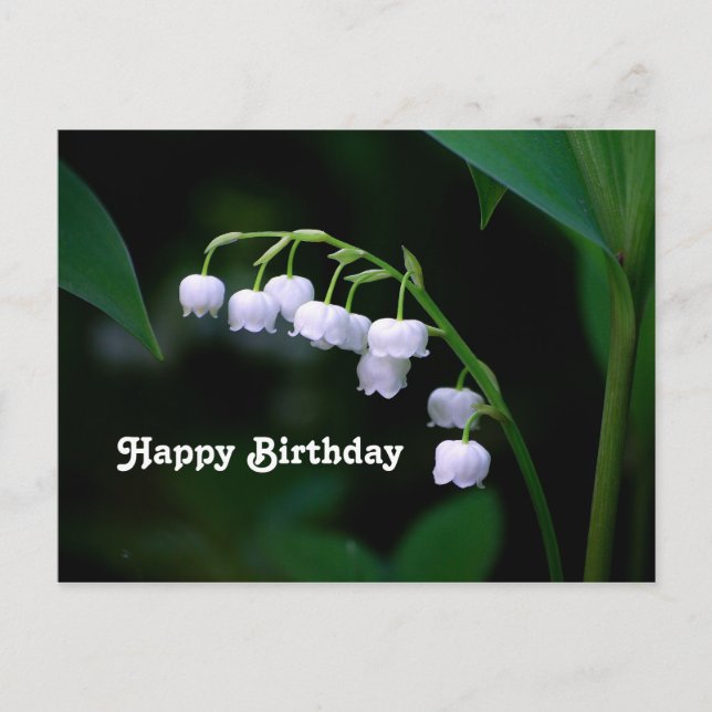 Pretty White Lily of the Valley Floral Birthday Postcard (Front)