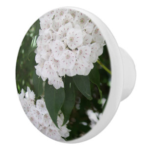 Pretty White Mountain Laurel Flowers Ceramic Knob