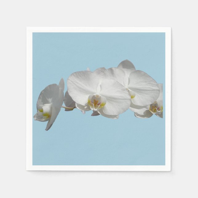 Pretty White Orchid on Light Blue Napkin (Front)