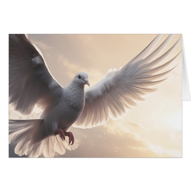 Pretty White Peace Dove (Front Horizontal)