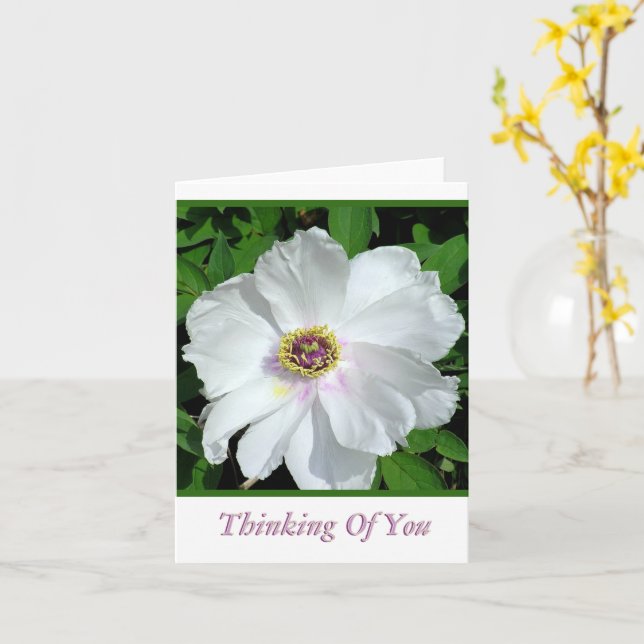 Pretty White Peony /Thinking Of You / Blank Inside Card (Yellow Flower)