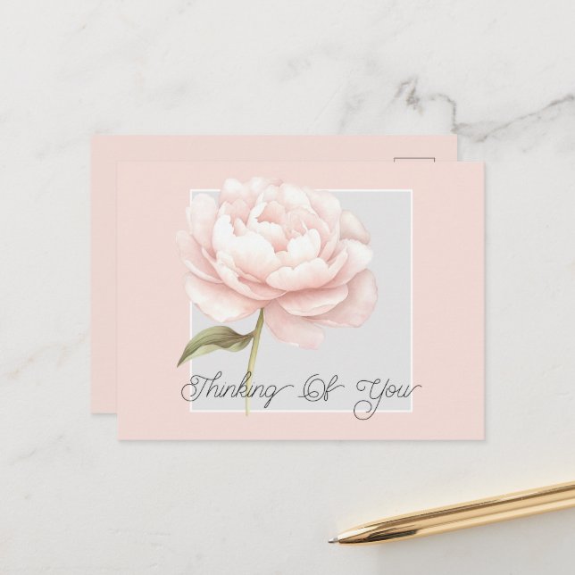 Pretty White Pink Rose Flower Personalised Postcard (Front/Back In Situ)