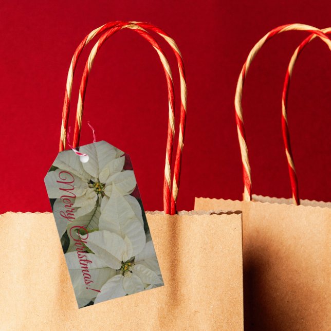 Pretty White Poinsettias Holiday Gift Tags (In Situ)