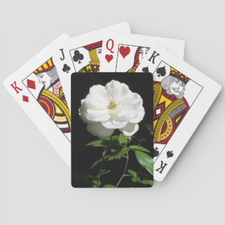 Pretty White Rose Playing Cards