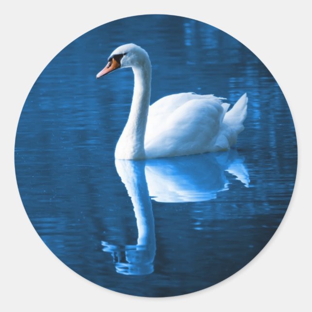 Pretty white swan floating on a blue lake classic round sticker (Front)