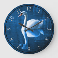 Pretty white swan floating on a blue lake