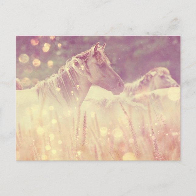 Pretty Wild Mustang Gold Sparkles Horse Postcard (Front)
