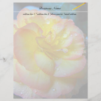 pretty yellow begonia flower
