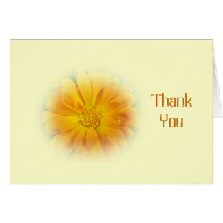 pretty yellow daisy flower