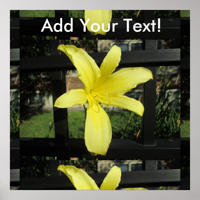 Pretty Yellow Lily Flower Poster (Front)