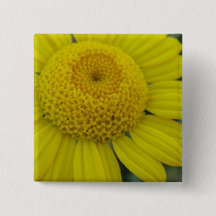Pretty yellow marguerite 15 cm square badge