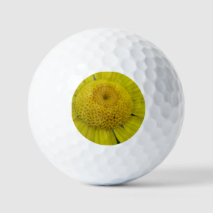 Pretty yellow marguerite golf balls