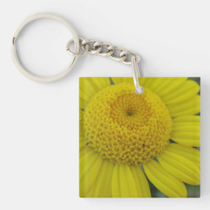 Pretty yellow marguerite key ring
