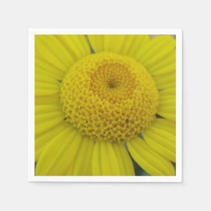 Pretty yellow marguerite napkin