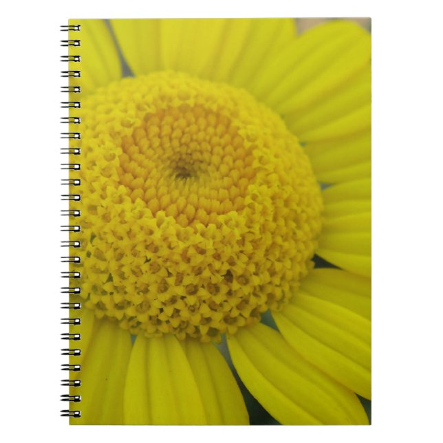 Pretty yellow marguerite notebook (Front)