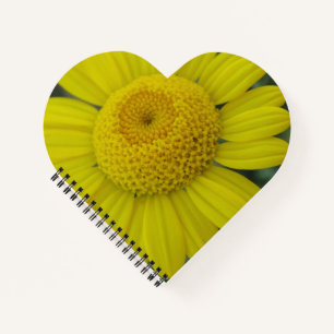 Pretty yellow marguerite notebook