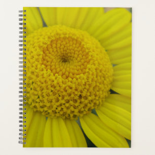 Pretty yellow marguerite planner