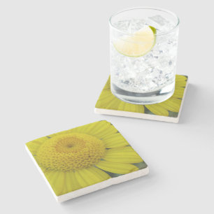 Pretty yellow marguerite stone coaster