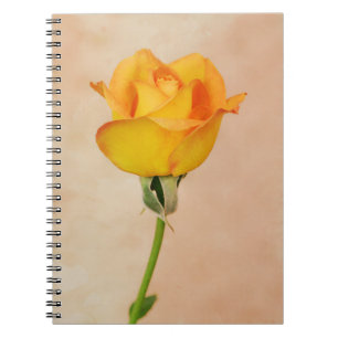Pretty Yellow Rose from Gertie's Garden Notebook