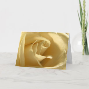 Pretty Yellow Rose Greeting Card Blank Inside