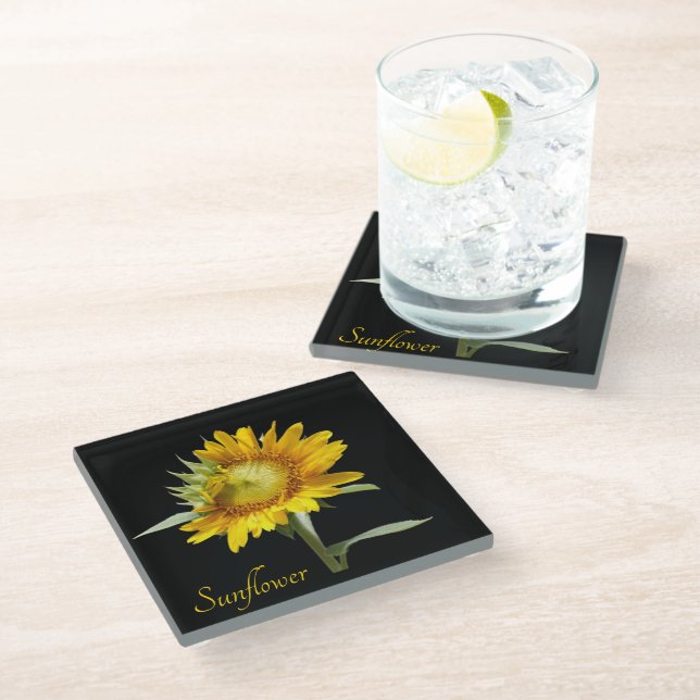 Pretty yellow sunflower on black glass coaster (Angled)