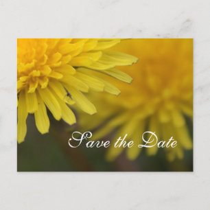 Pretty yellow wild flower dandelion save the date announcement postcard