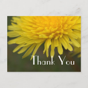 Pretty yellow wild flower dandelion thank you postcard