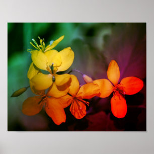 Pretty Yellow Wildflowers Abstract  Poster