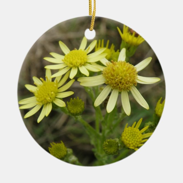 Pretty Yellow Wildflowers Ornaments (Front)