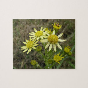 Pretty Yellow Wildflowers Puzzle