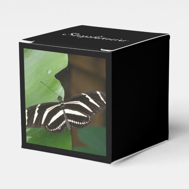 Pretty Zebra Longwing Butterfly Custom Favour Box (Front Side)