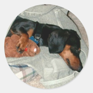 Pretzel & Pal Classic Round Sticker