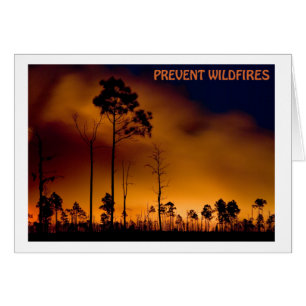 Prevent Wildfire