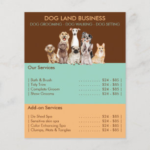 Price List for Dog Grooming brown green yellow Flyer