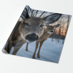 PRICELESS SUNSET WITH WILD LIFE WRAPPING PAPER