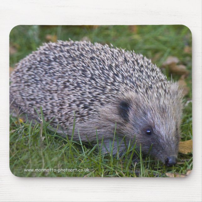 Prickles Mousemat (Front)