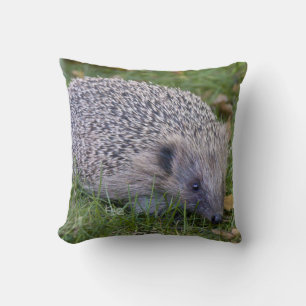 Prickles Pillow