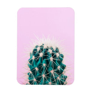 Prickley Cactus on Pink Magnet