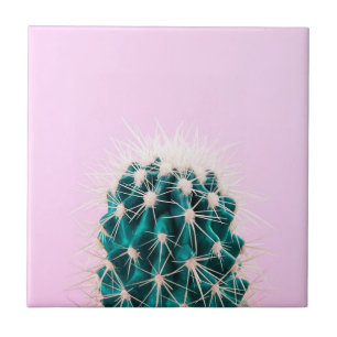 Prickley Cactus on Pink Tile